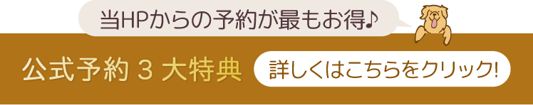 公式予約5大特典