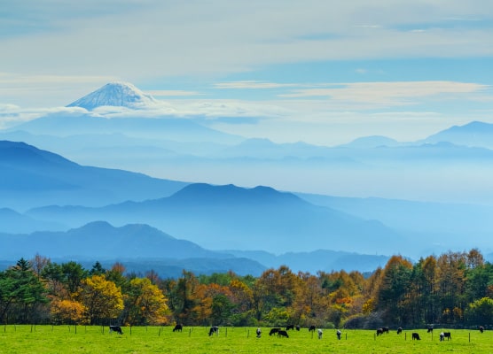 市街地からほど近く、南アルプス・北岳麓に佇む宿