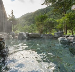 秘湯の湯を源泉かけ流しで贅沢に楽しむ