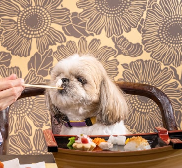 愛犬と一緒に楽しむこだわりのお料理