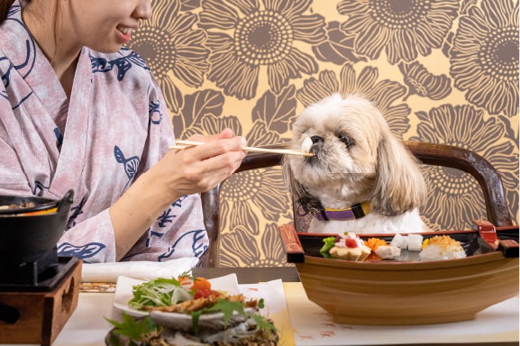 愛犬と一緒に楽しむこだわりのお料理