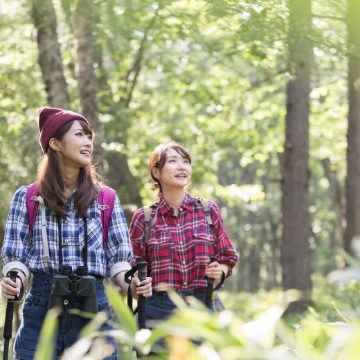 愛犬と過ごす、春夏秋冬の旅の提案