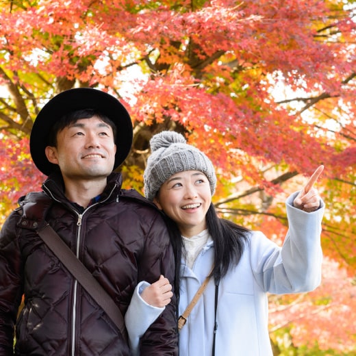 愛犬と過ごす、春夏秋冬の旅の提案