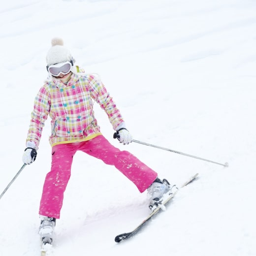 愛犬と過ごす、春夏秋冬の旅の提案