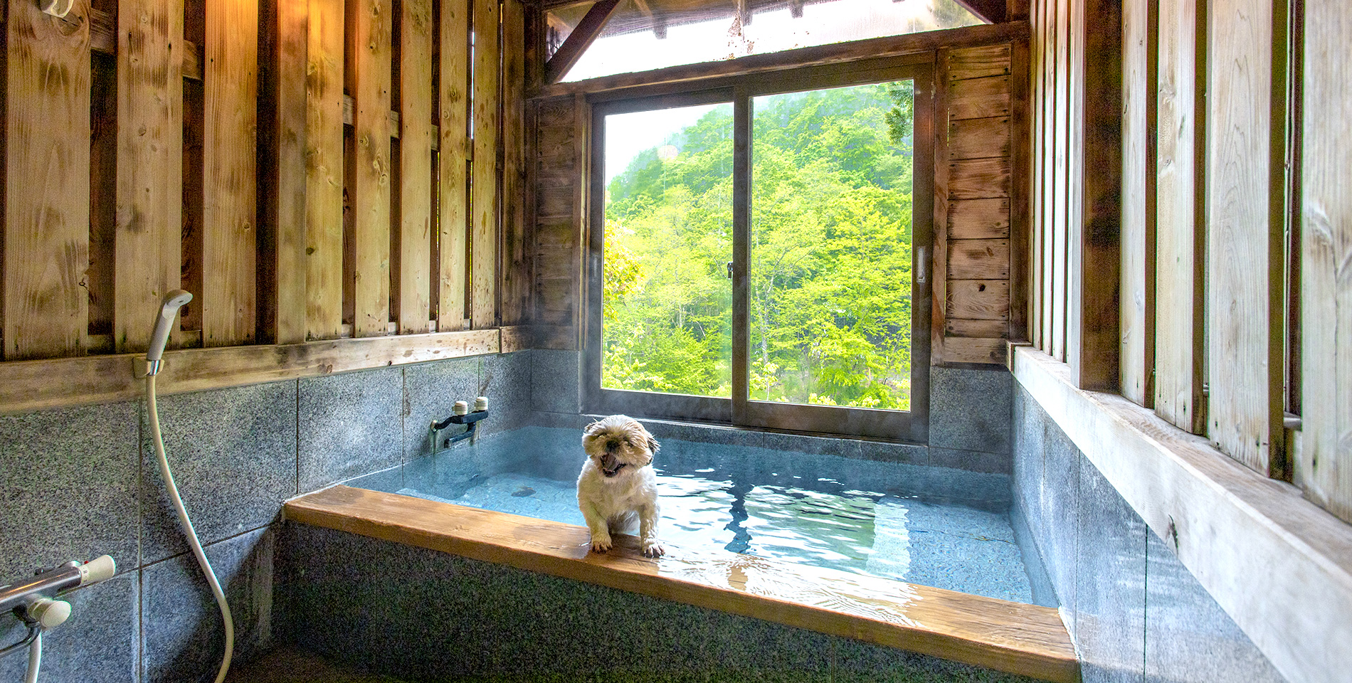 源泉かけ流し風呂+屋外ドッグラン付き特別室