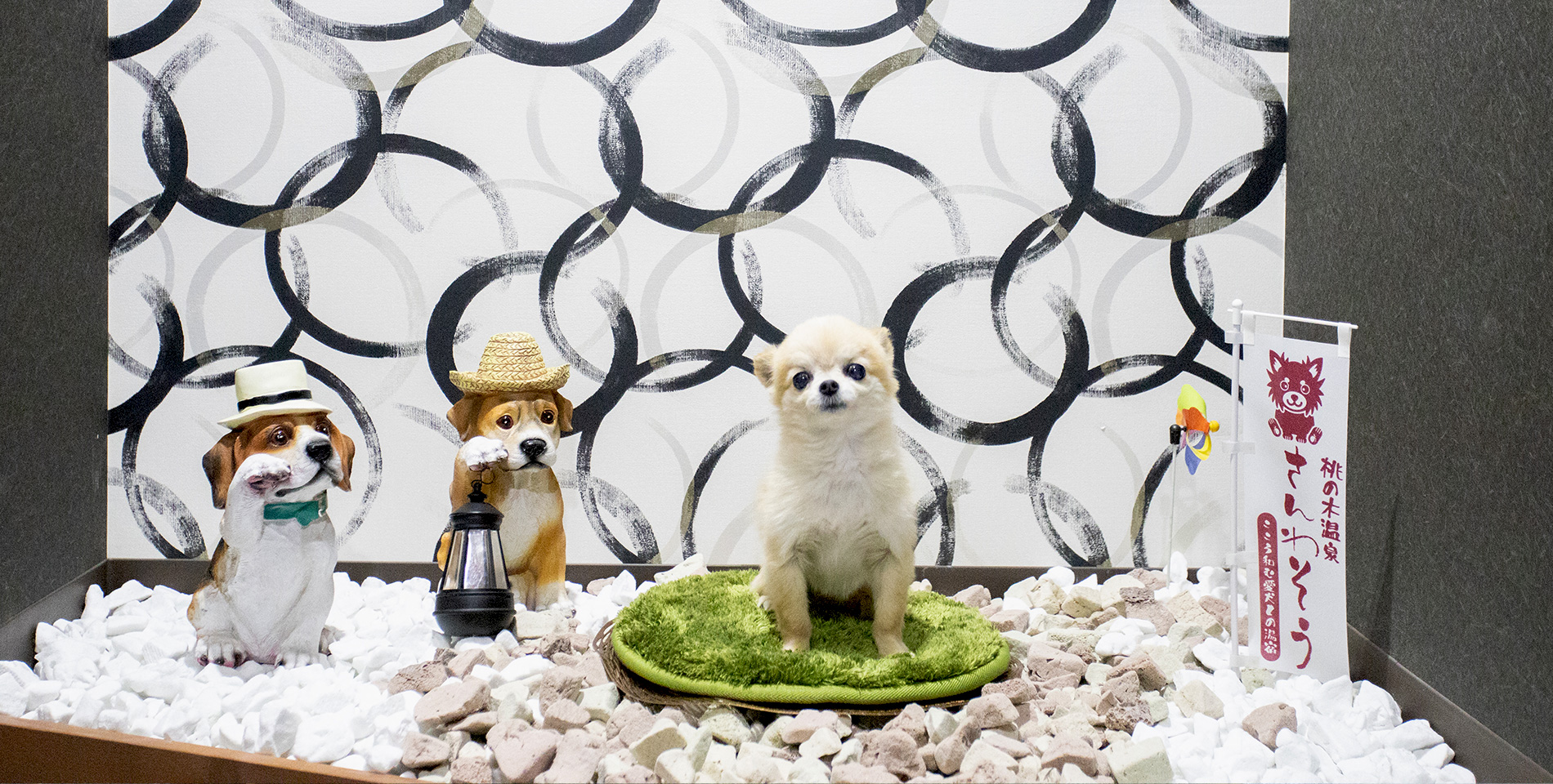 源泉かけ流し風呂+屋外ドッグラン付き特別室