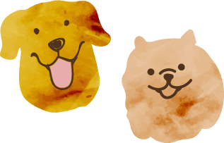 お泊りのルール