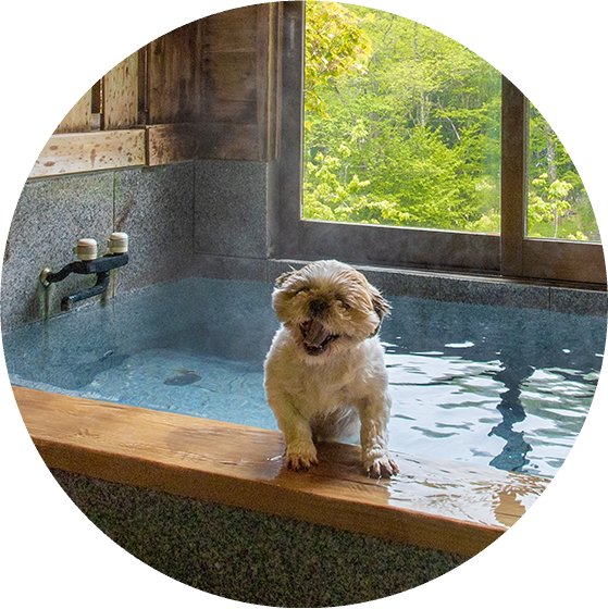 大切な愛犬と過ごす、特別なひととき