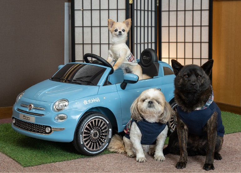 大切な愛犬と過ごす、特別なひととき