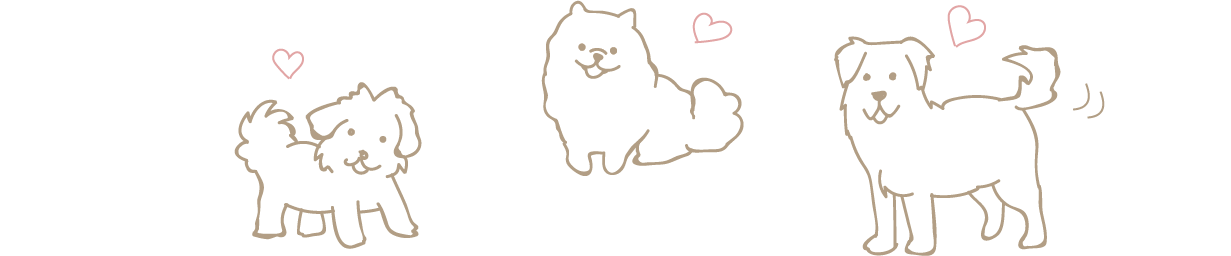 大切な愛犬と過ごす、特別なひととき