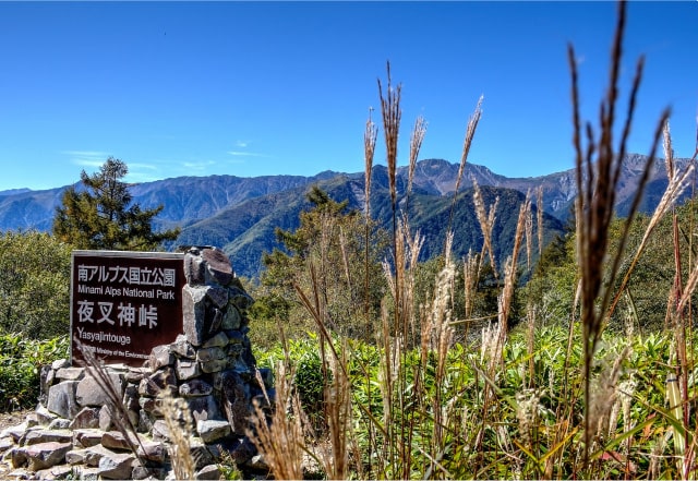 夜叉神峠ハイキングコース