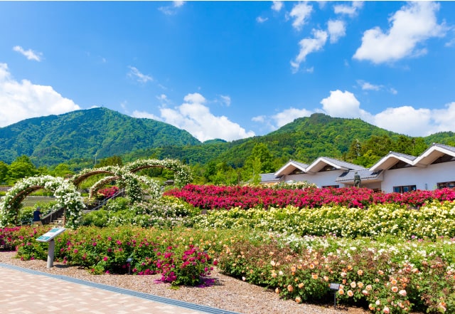富士川クラフトパーク・ドッグラン
