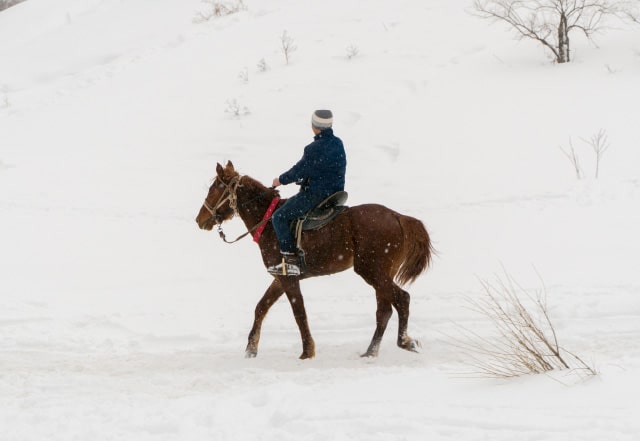 カナディアンキャンプ八ヶ岳