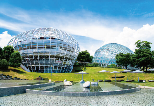 山梨県笛吹川フルーツ公園