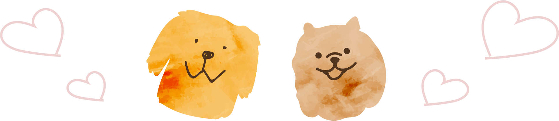 姫虎