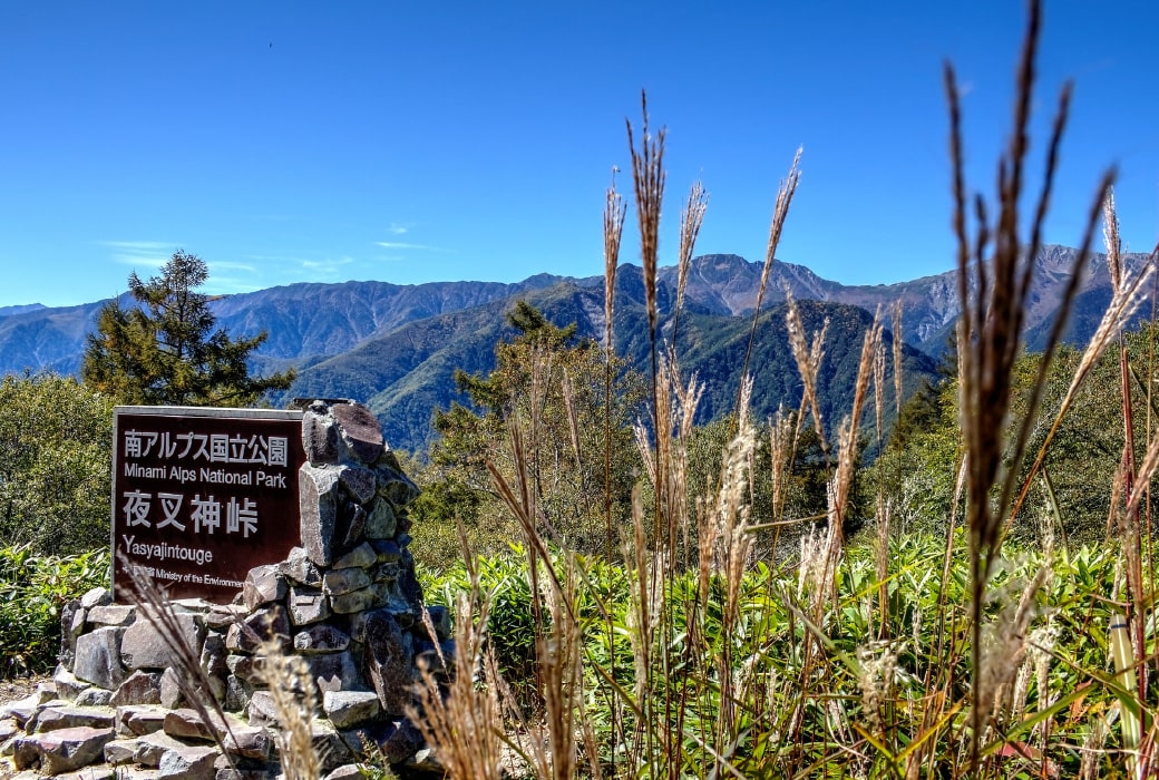 夜叉神峠のハイキング