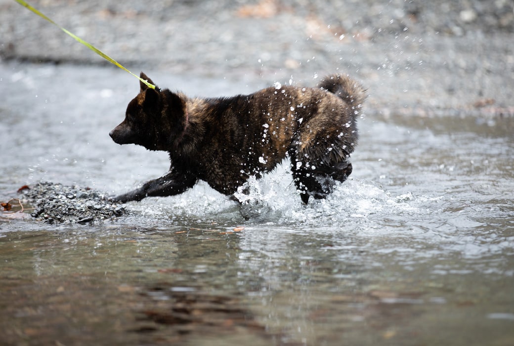 チェックイン〜森林浴を楽しみながらのお散歩