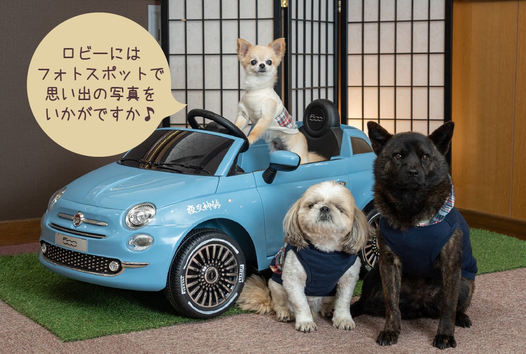 チェックアウト