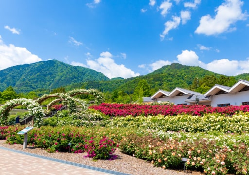 その他山梨の観光スポットをご紹介